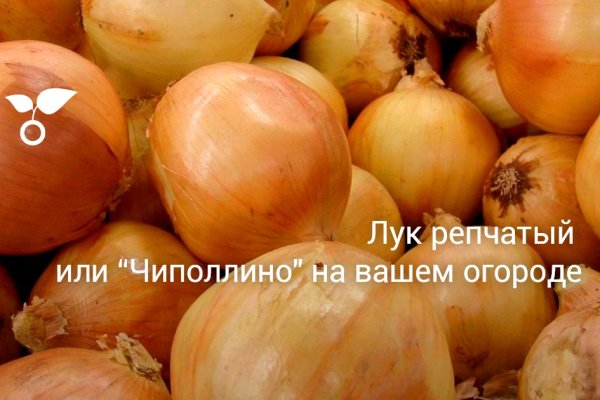 Что такое блэк спрут