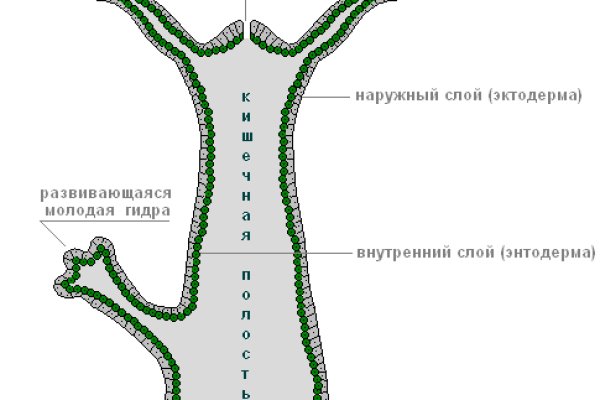 Блэк спрут ссылка bs2webes net