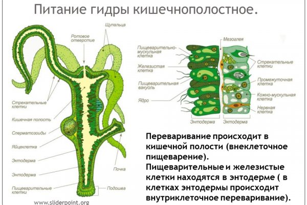 2 fa код blacksprut