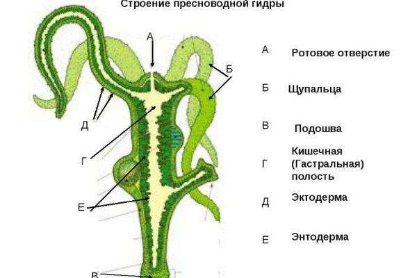 Как зарегистрироваться на блэк спрут